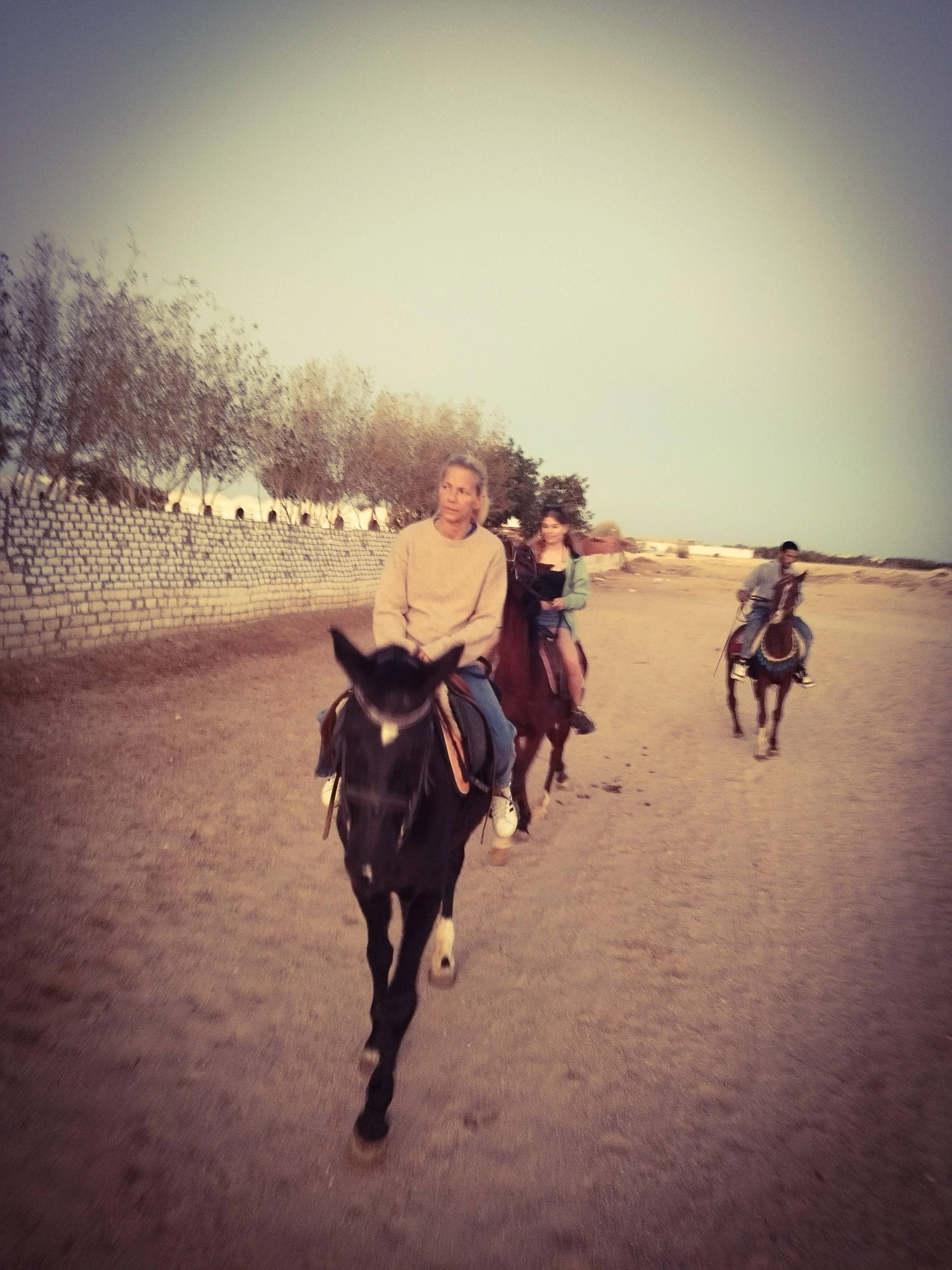 Trips Tours Travel - Foto 4